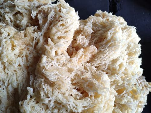 Raw Material Inspection